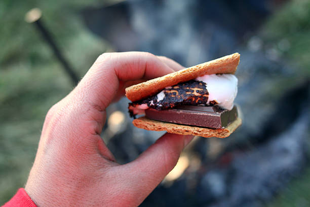 Smore over campfire Perfect smore ready for eating. smore photos stock pictures, royalty-free photos & images
