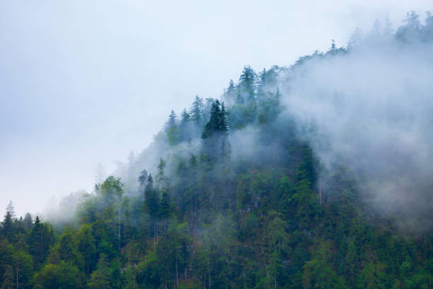 istock Mountain slope in clouds and mist 1402602856