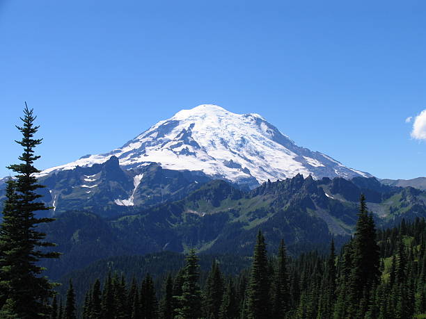 istock Mount Rainier volcano in Washington, USA 140260329