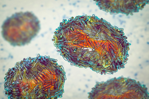 Virus monkeypox, ilustración 3D photo