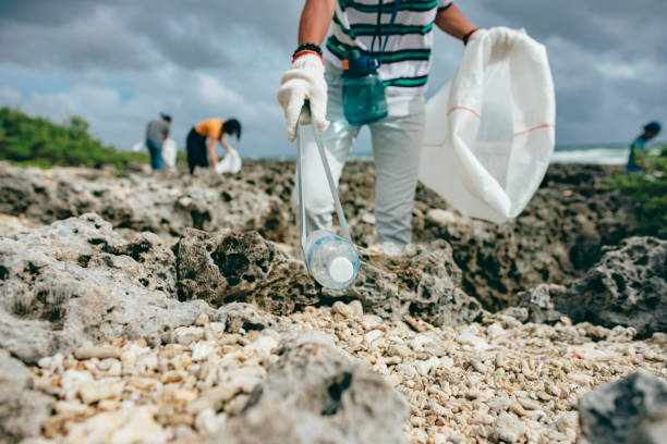 istock Community Volunteer Groups on the Beach 1402604125