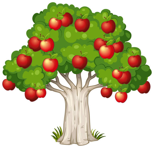 Apple Tree Cartoon Stock Photos, Pictures & Royalty-Free Images - iStock Apple Tree Cartoon Stock Photos, Pictures & Royalty-Free Images - iStock