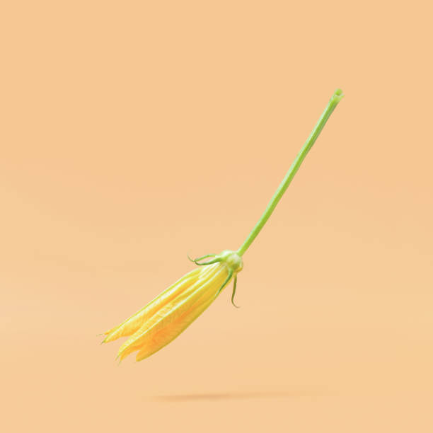 istock Flying zucchini yellow flower on beige background 1402607193