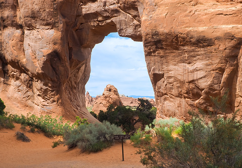 Pine tree arch in the Arches National Park, Utah, USA. Natural sandstone arch formation created by erosion. Famous natural monument in the American southwest. Beautiful sunny day of spring