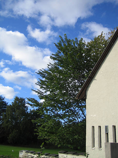 house under blue sky stock photo