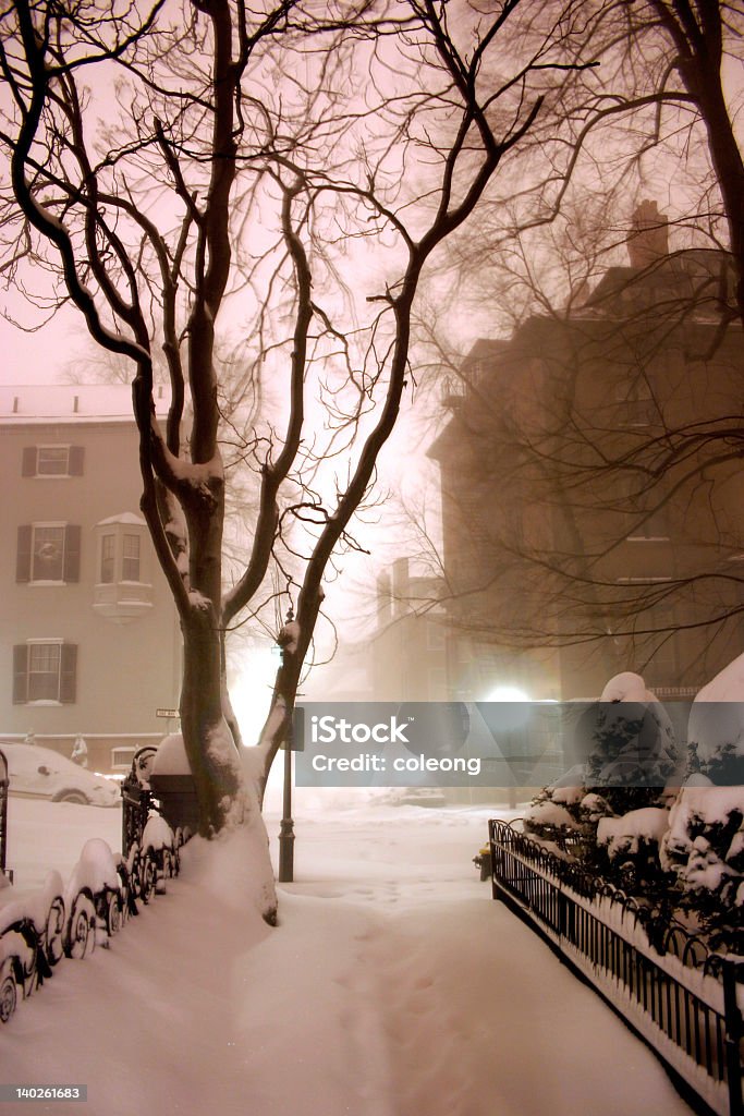 Notte invernale di Beacon Hill, Boston - Foto stock royalty-free di Albero
