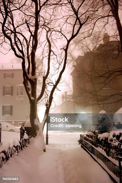 Notte Invernale Di Beacon Hill Boston - Fotografie stock e altre immagini di Albero - Albero, Albero spoglio, Ambientazione esterna