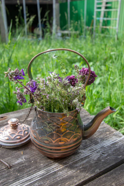istock homemade herbal tea 1402617303