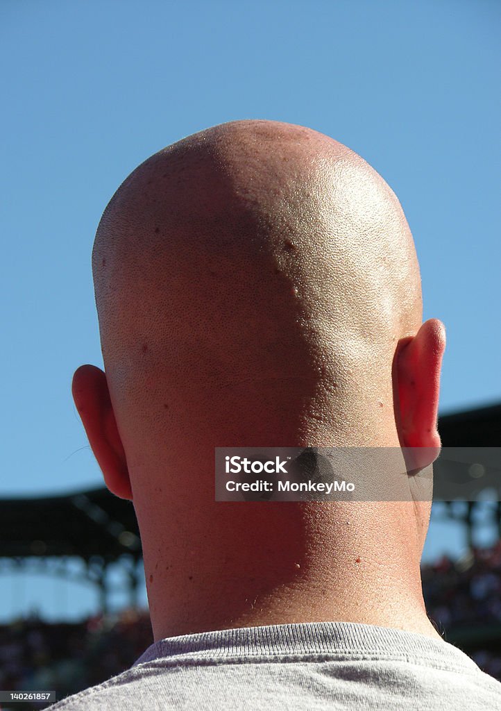 Bald head et ciel bleu - Photo de Arrière de la tête libre de droits