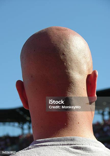 Bald Head E Céu Azul - Fotografias de stock e mais imagens de Nuca - Nuca, Homens, Adulto