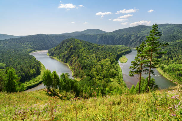 istock Awesome view of scenic river among evergreen woods 1402619054