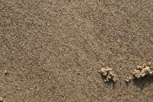wet sand from the beach of the baltic sea in the morning sun