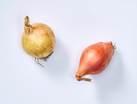 onion and shallot isolated on white background.