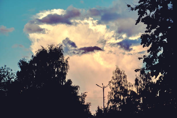 Cumulus clouds, silhouettes of trees in the foreground. Blue sky.