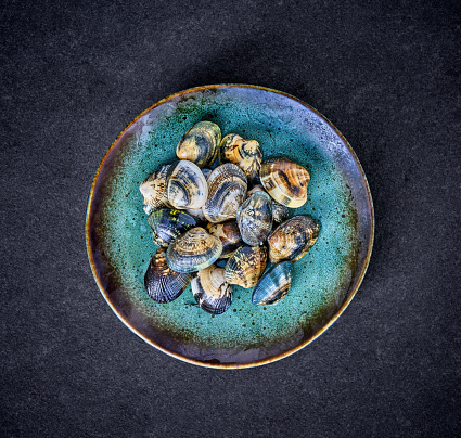 assorted clams with shellfish on black background.