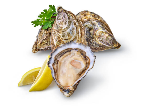 istock Open fresh raw oyster clams isolated and ready to eat 1402624655