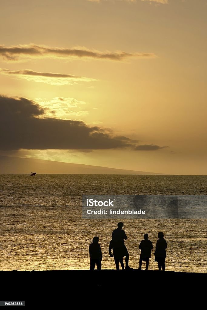 Семья Смотреть Выскакивание из воды кит - Стоковые фото Группа животных роялти-фри