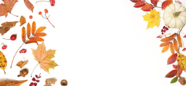 istock Detail for design, postcards on autumn theme. 1402628266