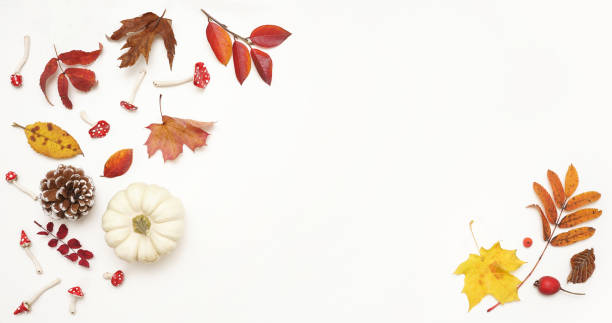 Detail for design, postcards on autumn theme.