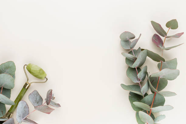 istock Eucalyptus composition. Pattern made of various colorful flowers on white background. Flat lay stiil life. 1402629534