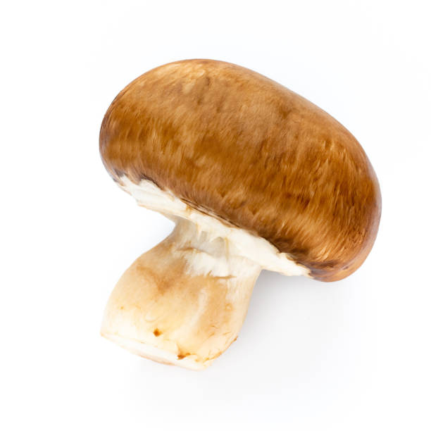istock Fresh champignon mushrooms isolated on white. 1402629773