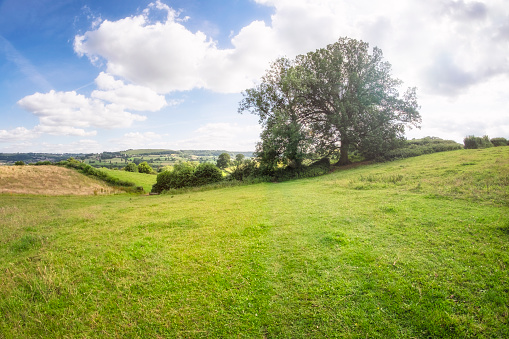 Countryside Scenic View In The Cotswolds, UK