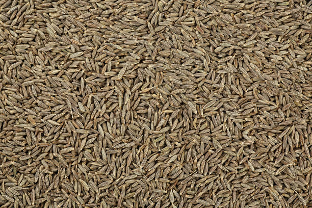 istock Close up of cumin seeds as background, top view. Macro. 1402630269