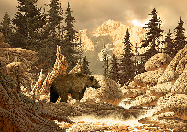 istock Grizzly Bear in the Tetons 140263121