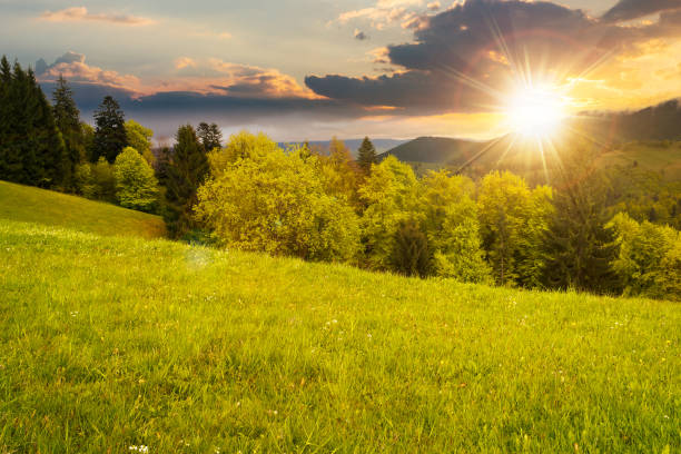 istock beautiful nature scenery in spring at sunset 1402631564