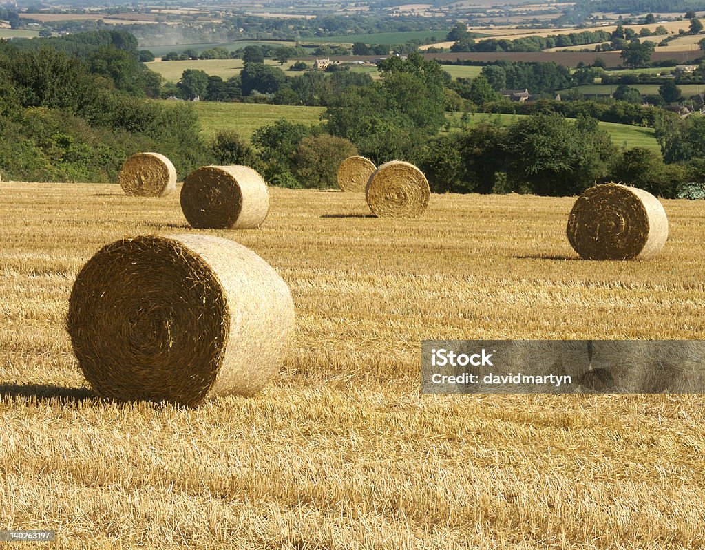 cotswolds, harvest - Foto de stock de Agricultura libre de derechos
