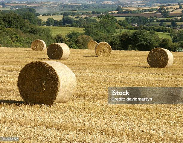 Photo libre de droit de Les Cotswolds Harvest banque d'images et plus d'images libres de droit de Agriculture - Agriculture, Angle de prise de vue, Beauté