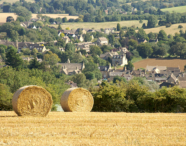 cotswolds harvest england midlands gloucestershire the cotswolds the cotswolds way footpath dover hill near chipping campden gloucestershire stock pictures, royalty-free photos & images