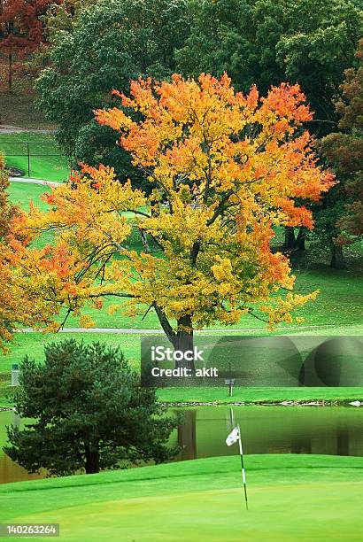 Foto de Campo De Golfe e mais fotos de stock de Ajardinado - Ajardinado, Bandeira, Bandeira de golfe