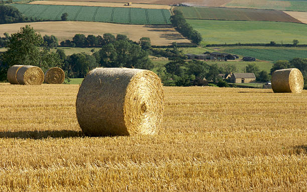 istock Farm land with hay bales spread out 140263347