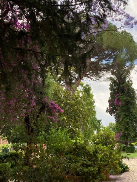 istock Greece- Corfu- Corfu old town 1402634366