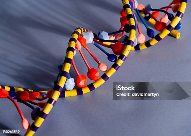 Dnahelix Stockfoto und mehr Bilder von DNA - DNA, Modell, Bildung