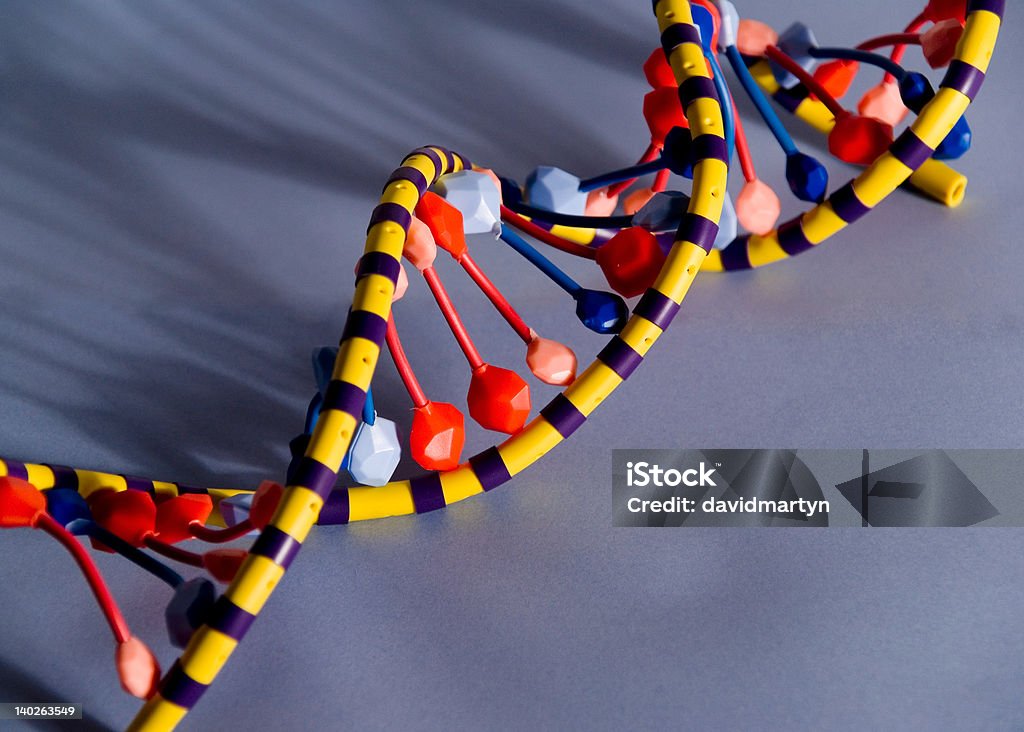 dna Hélice - Foto de stock de DNA royalty-free