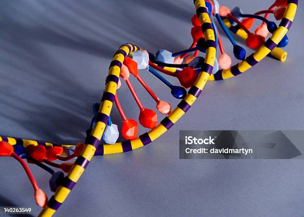Foto de Dna Hélice e mais fotos de stock de DNA - DNA, Modelo, Alta Magnificação