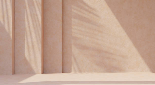 Minimal product placement background with palm shadow on beige plaster wall. Luxury summer architecture interior aesthetic. Boho home room for product platform stage mockup.
