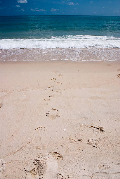 Footprints in the Sand stock photo