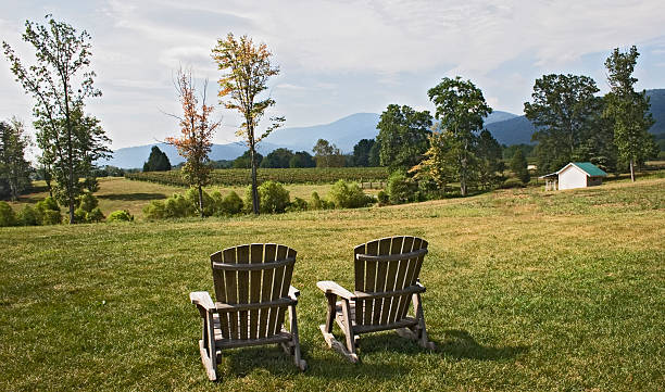 istock Adirondack Chair Vineyard View 140263717