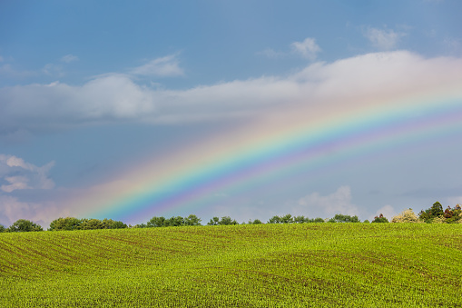 A beautiful rainbow background with a lush green meadow field in the foreground.