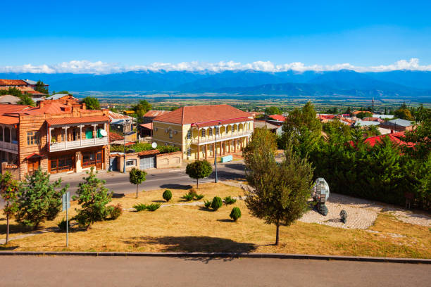 istock Telavi old town in Georgia 1402637770