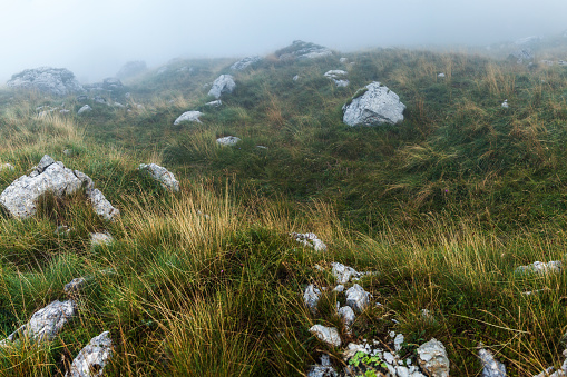 Dense and mystery fog over the path in the mountains