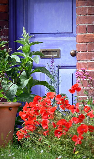 A yard in a traditional stone house with pots full of flowers and a well in front of a light blue wooden door.