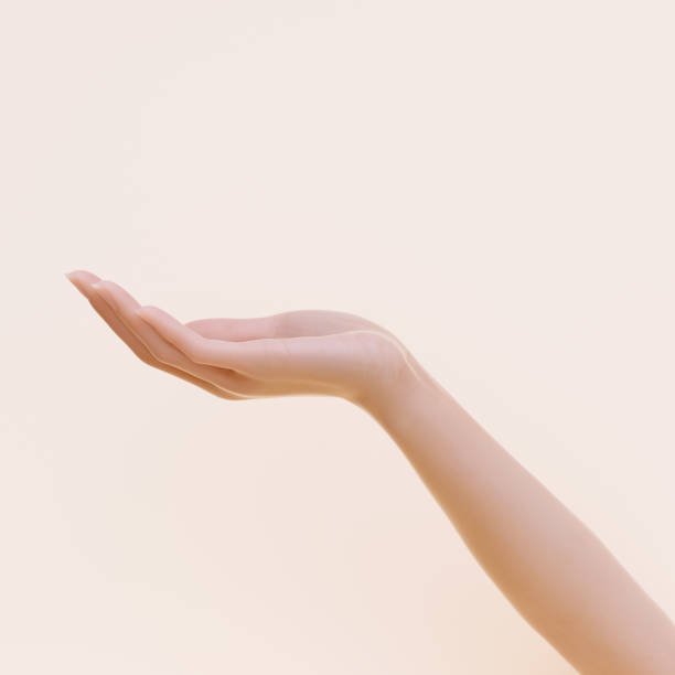 istock Presenting hand, offer gesture, woman empty hand open palm 3d rendering 1402639580