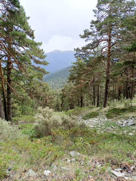istock Sierra de Guadarrama 1402639582