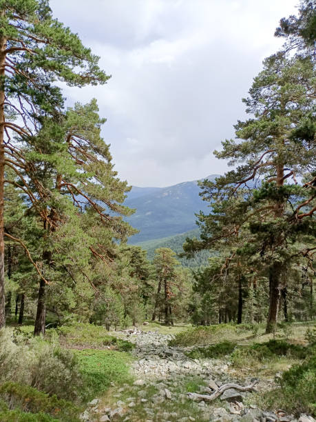 istock Sierra de Guadarrama 1402639584