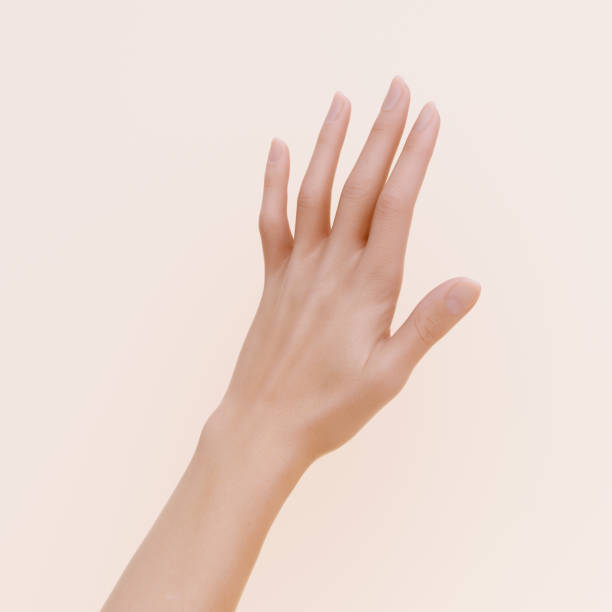 istock Woman open hand pose 3d rendering, fingers palm beautiful arm isolated 1402639687