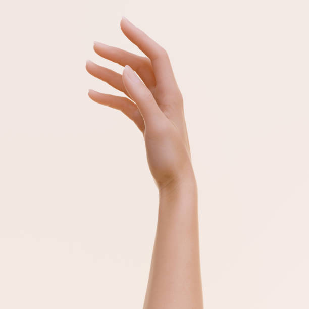 Relaxed female hand gesture, 3d rendering beautiful woman arm art creative pose